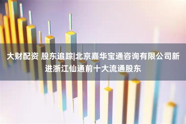 大财配资 股东追踪|北京嘉华宝通咨询有限公司新进浙江仙通前十大流通股东