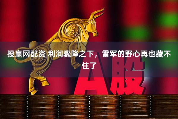 投赢网配资 利润骤降之下，雷军的野心再也藏不住了